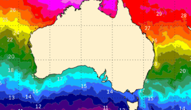 'Blob' of ocean could build to tropical cyclone as early as next week