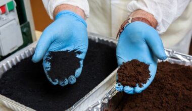Aussie scientists find bizarre construction use for coffee grounds