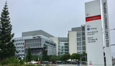 Police response under investigation after man dies in northern NSW in alleged brawl.