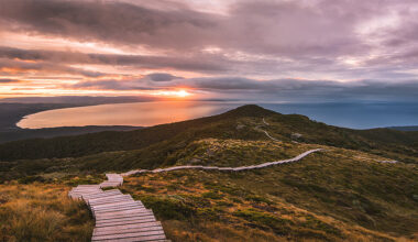 Weekend briefing: China's moves upend many, including itself