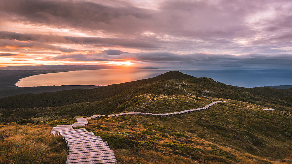 Weekend briefing: China's moves upend many, including itself