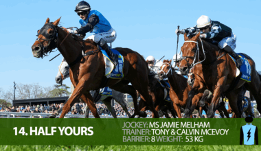 2025 Melbourne Cup Field - complete guide - jockeys, trainers, tips, odds and form
