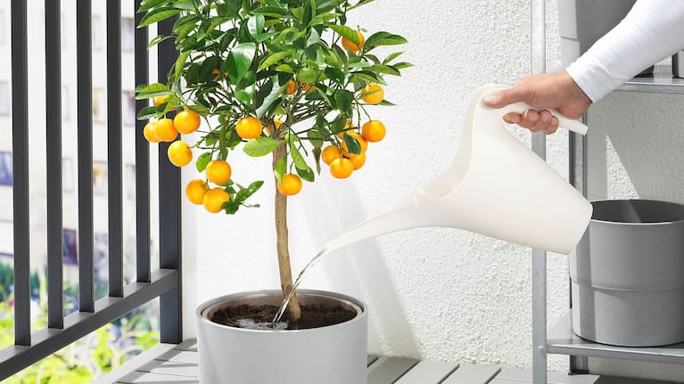 IKEA PS 2002 Watering can 