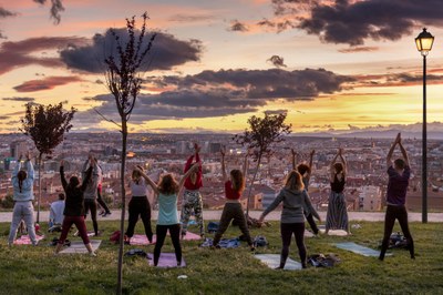 Harm to human health from air pollution in Europe: burden of disease status, 2025