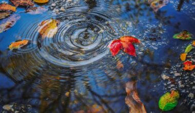 Europe-wide monitoring for antimicrobial resistance in surface waters can help improve data on health risks | Press releases