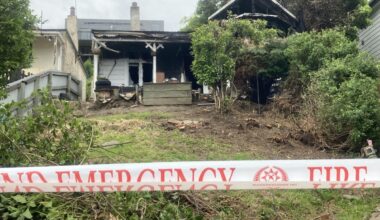 Arson accused 'used Molotov cocktails' to torch Dunedin house