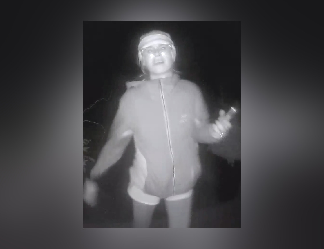 Woman wanted for throwing rocks at houses, cars in SW Calgary