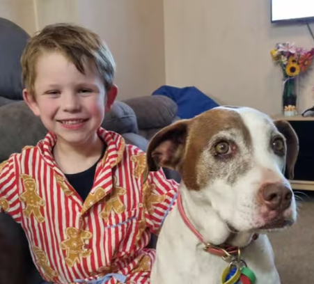 'Rest gently, my sweet baby boy': Mother’s tribute to son killed in Timaru crash