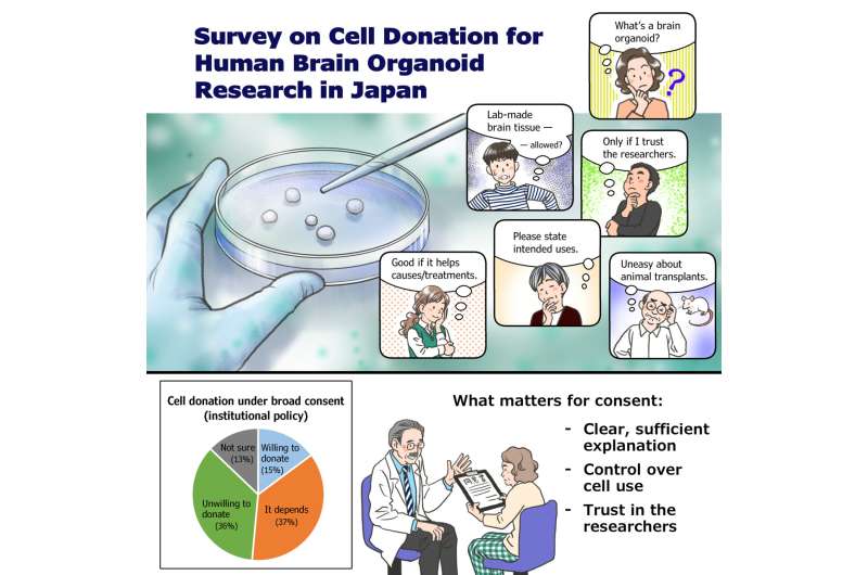 Japanese public show major reservations to cell donation for human brain organoid research