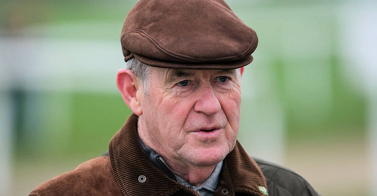 JP McManus's International Rugby Experience in Limerick records losses of €1.05m