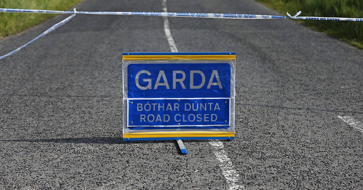 Man (30s) dies after being stuck by a bus in Co Kildare