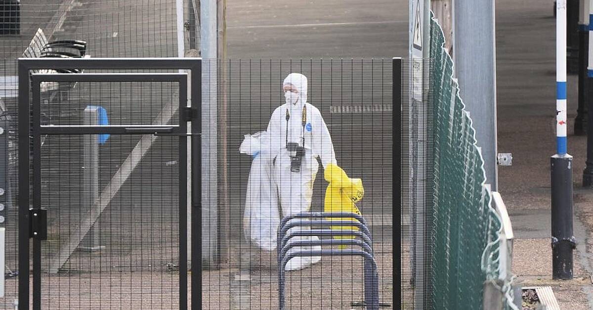 Nottingham Forest owner vows to help after fan injured in train attack