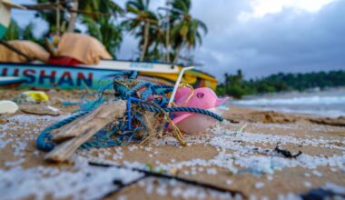 How Nuclear Technology Tackles Plastic Pollution