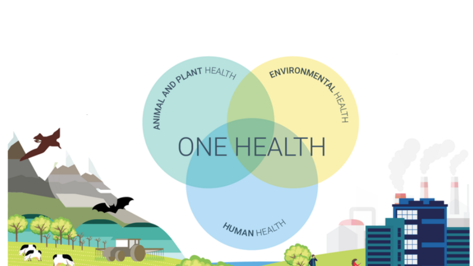 Time for action: A Joint Statement of the EU Cross-agency One Health Task Force and the European and Central Asia Quadripartite on One Health