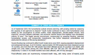 Public Health Situation Analysis - South Sudan