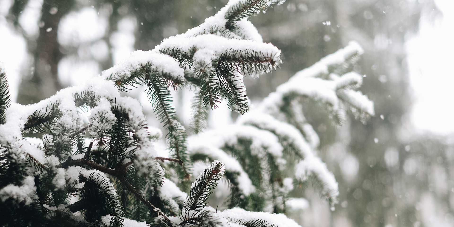 Amber warning issued as cold weather continues