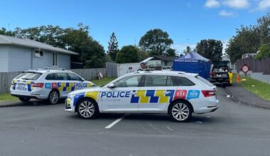 Woman charged over fatal hit and run, victim's name released