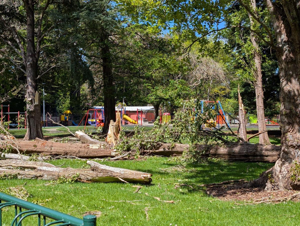 New storm recovery head named