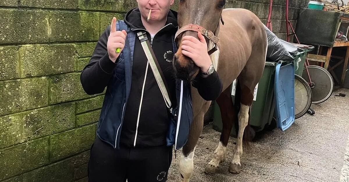 'Sadistic' criminal bit ex-girlfriend and kept machine gun at home is jailed