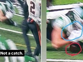 B.C. Lions owner Amar Doman questioned the Saskatchewan Roughrider's game-winning touchdown catch Saturday night on Instagram feed with these images of Tommy Nield's game-winning touchdown catch.