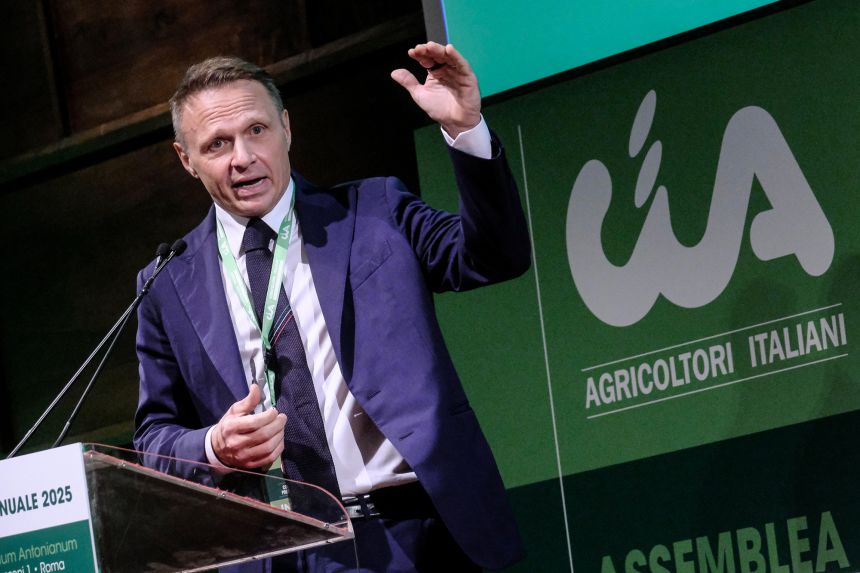 Italy's agriculture minister Francesco Lollobrigida pictured in Rome on November 20.