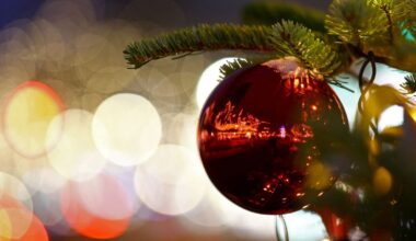 Four people have been shot and wounded at a tree lighting ceremony in Concord, North Carolina. File pic: Reuters