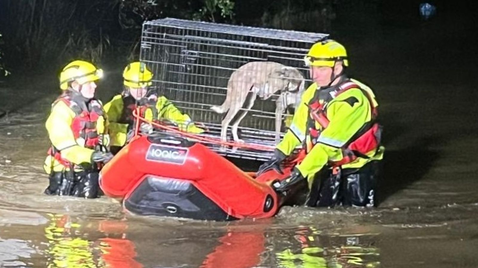Fire crews helped flooding victims, including rescuing dogs. Pic: Mid and West Wales Fire and Rescue Service (MAWWFRS)