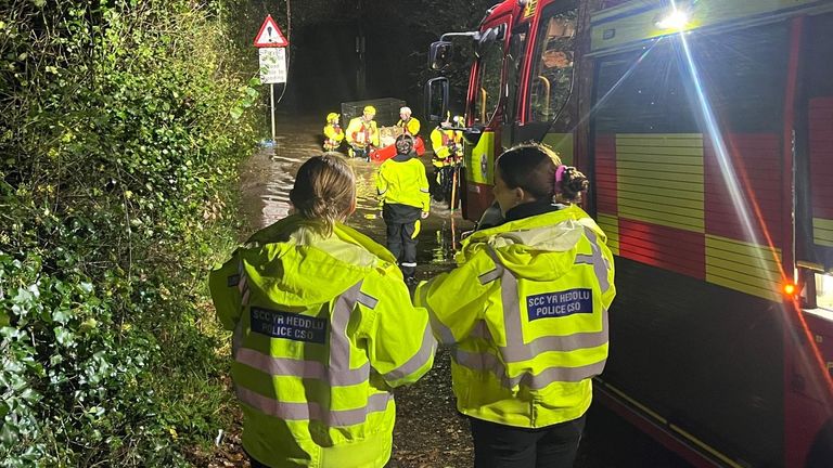 All the dogs were rescued. Pic: MAWWFRS