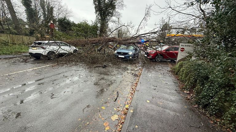 The scene in Macclesfield where a tree fell onto three cars. Pic: Cheshire Fire and Rescue
