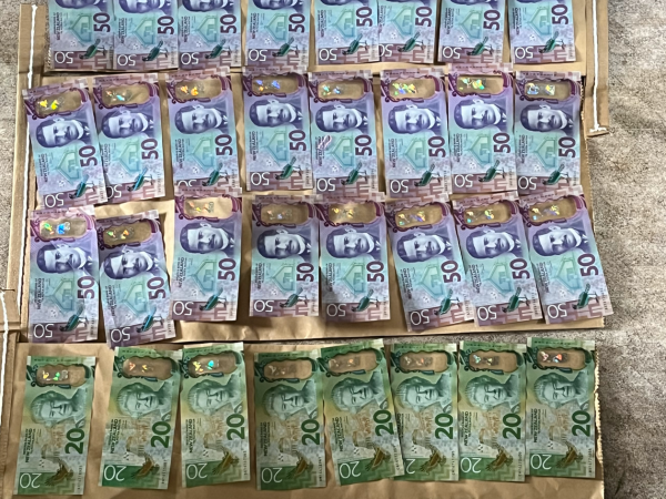 Police find haul of illegal firearms, drugs and cash in Tasman operation