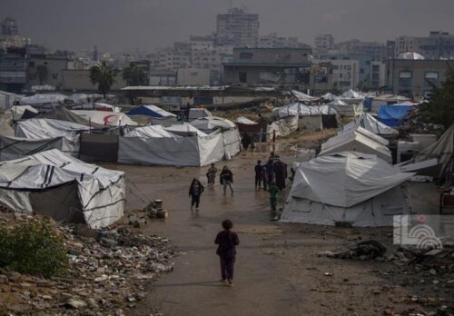 UN: Over 17,000 Gaza Families Affected by Heavy Rainfall |