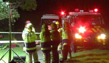 Two rescued after falling off cliff at Auckland beach