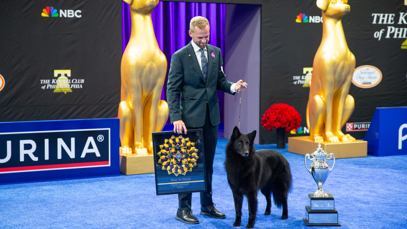 Belgian sheepdog Soleil wins top prize at National Dog Show : NPR