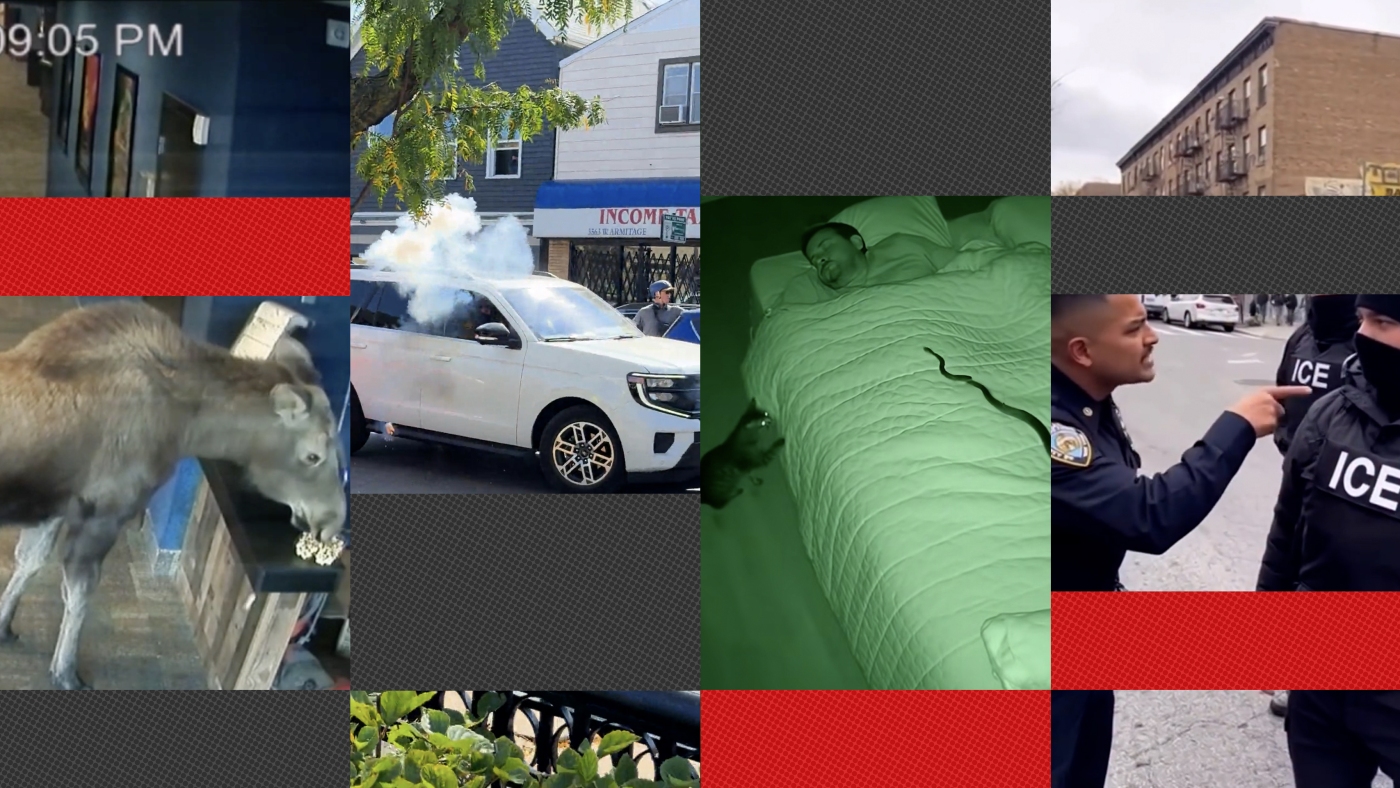 Can you spot AI videos from real ones? Take our quiz : NPR