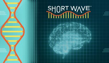 Why science says you should give your brain a workout : Short Wave : NPR