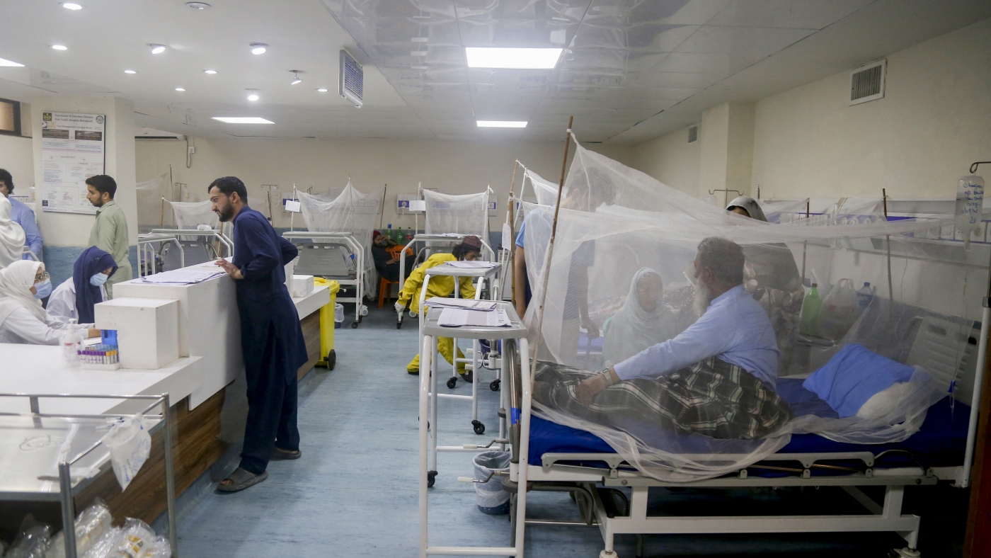 Goats and Soda : NPR