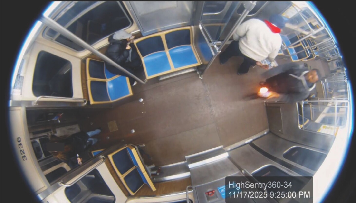 'Brutal and vicious' Blue Line attack leads to terrorism charge after woman set on fire