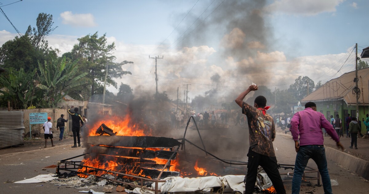 Tanzanian opposition decries 'sham' elections, alleges hundreds of deaths