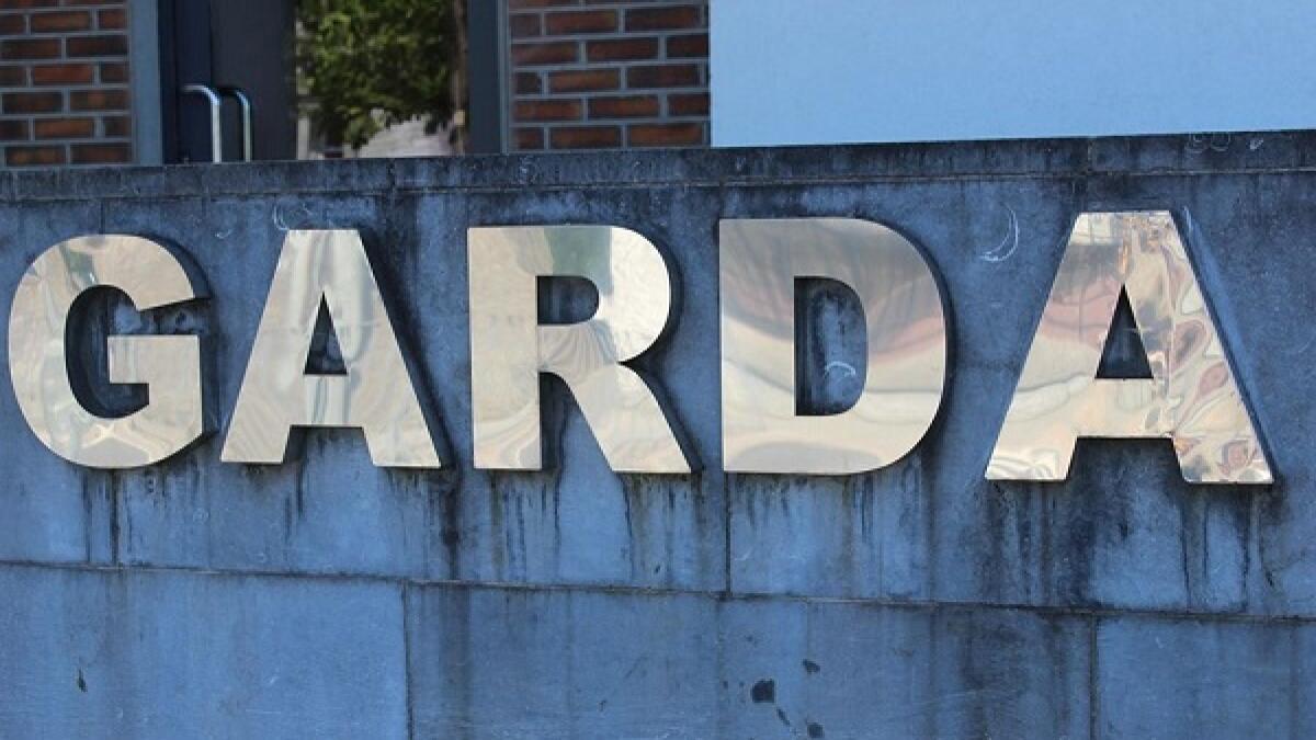 Dog killed in Dunboyne was not victim of fireworks attack and may have been hit by vehicle