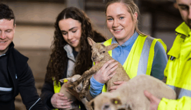 Donegal's first veterinary school launched at ATU