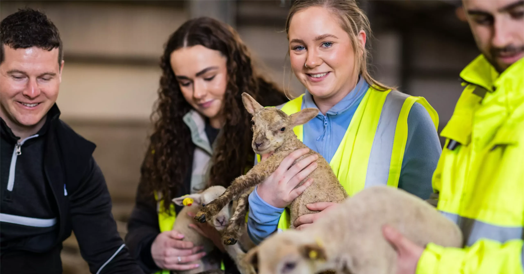 Donegal's first veterinary school launched at ATU