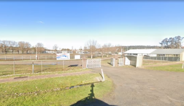 13 injured in NSW demolition derby crash