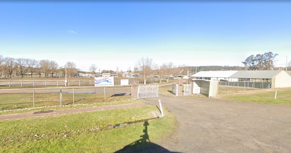 13 injured in NSW demolition derby crash