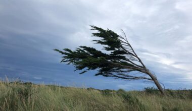 Strong winds, heavy rain in store for South