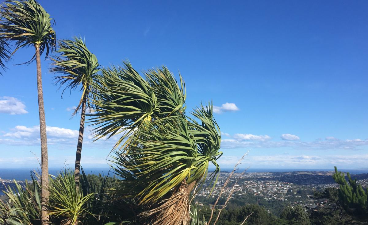 Unsettled end to spring before warm, dry summer in South