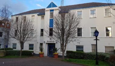 Man, 70s, dies after being struck by car on N11 in Dublin