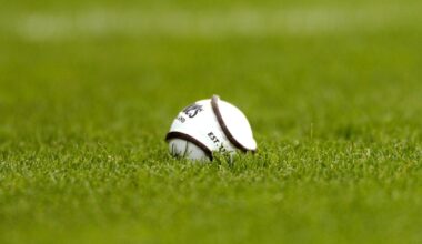 Dessain-Gelinet named new CEO of Camogie Association