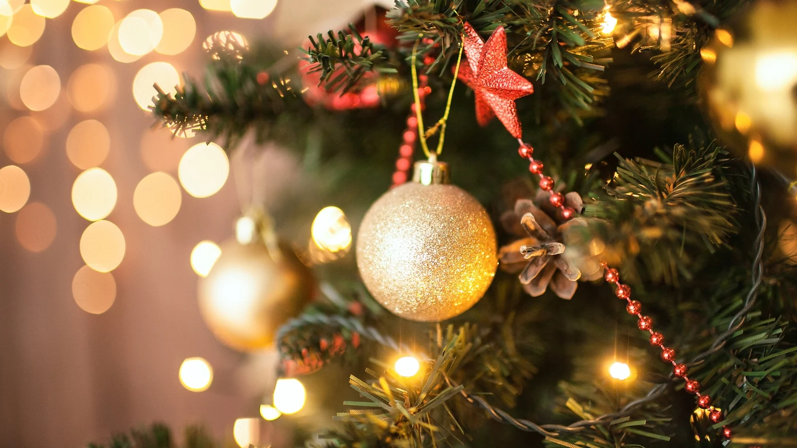 People urged to check in on older neighbours