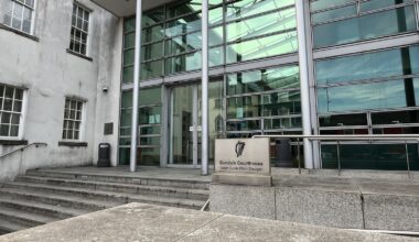 Woman in court over fatal road crash in Co Louth