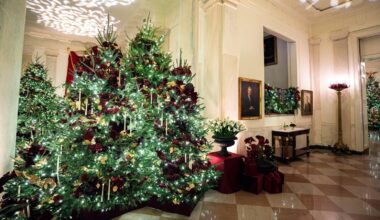 White House gets scaled-down Christmas display